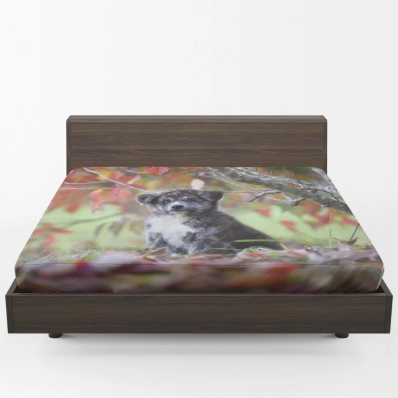 Bauble of Joyful Puppies: The Akita Quartet Fitted Sheet 1