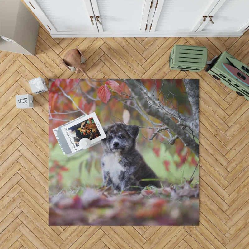 Bauble of Joyful Puppies: The Akita Quartet Floor Rug