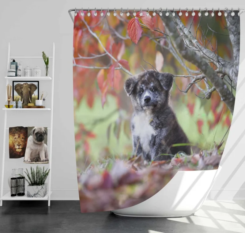 Bauble of Joyful Puppies: The Akita Quartet Shower Curtain