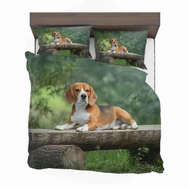 Beagle Adorable Personality: Beagle Bedding Set 1