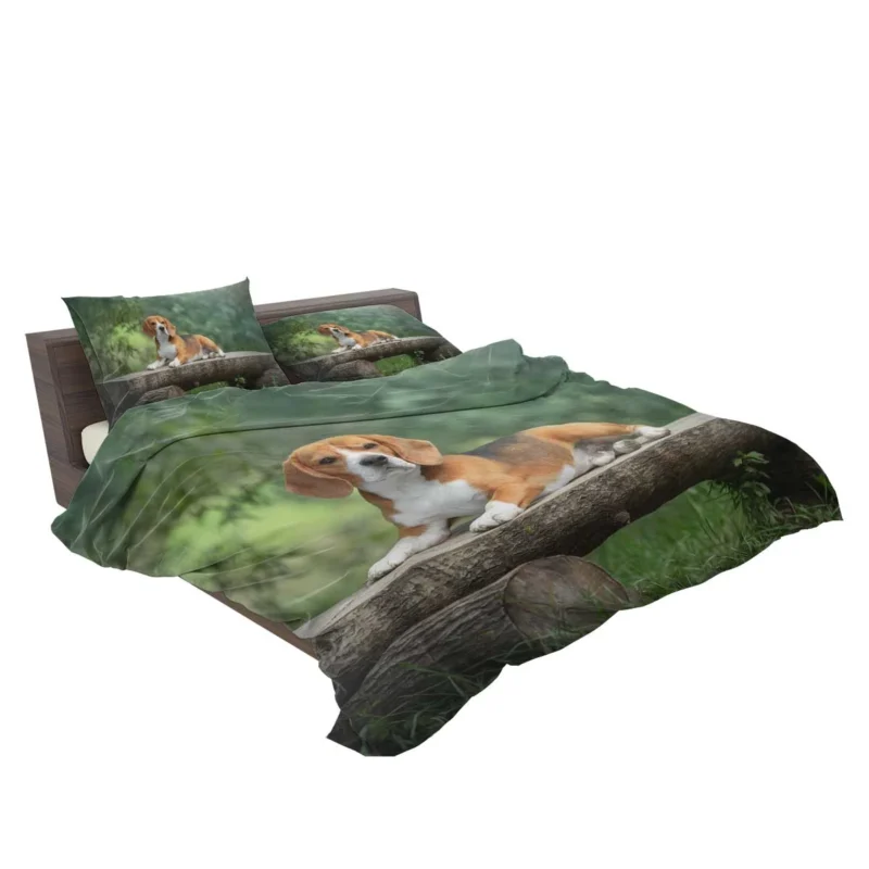 Beagle Adorable Personality: Beagle Bedding Set 2