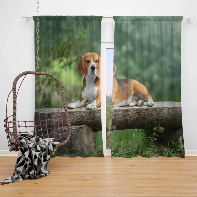 Beagle Adorable Personality: Beagle Window Curtain