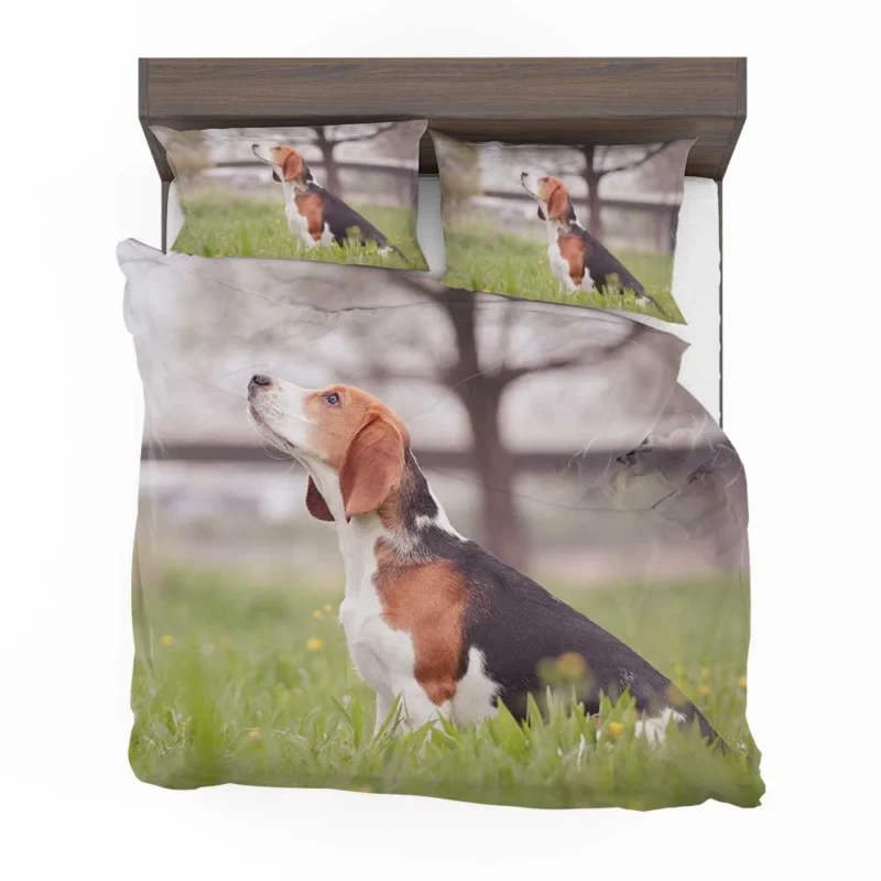 Beagle Affectionate Nature: Beagle Bedding Set 1