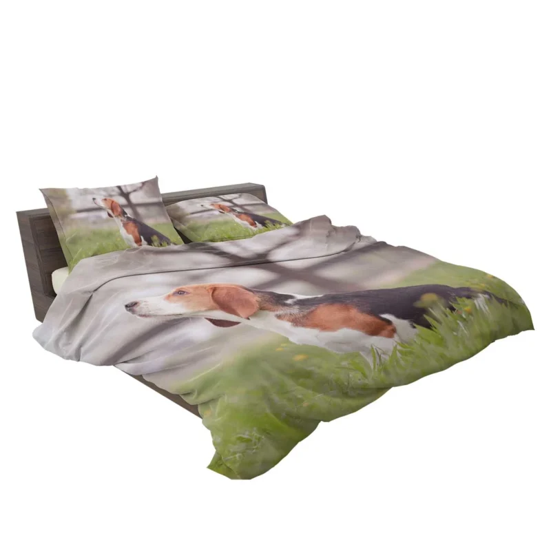 Beagle Affectionate Nature: Beagle Bedding Set 2