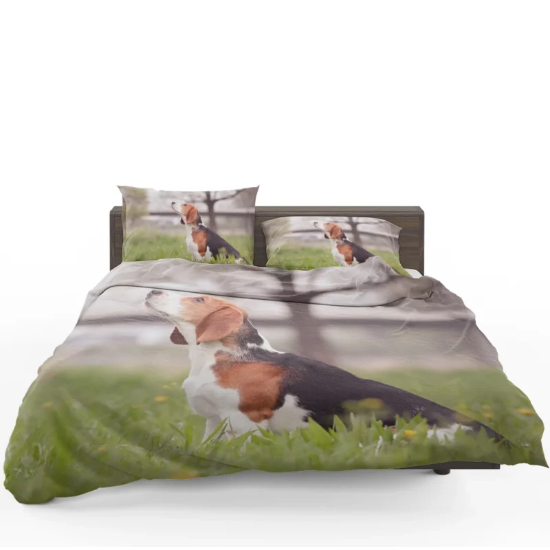 Beagle Affectionate Nature: Beagle Bedding Set