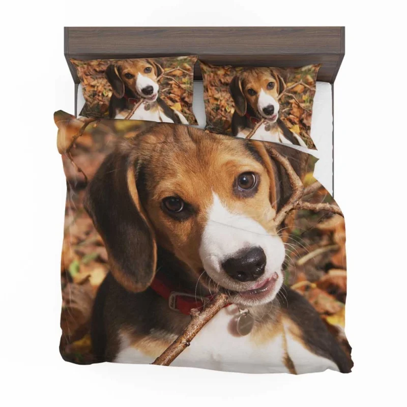 Beagle Breed and Its Charm: Beagle Bedding Set 1