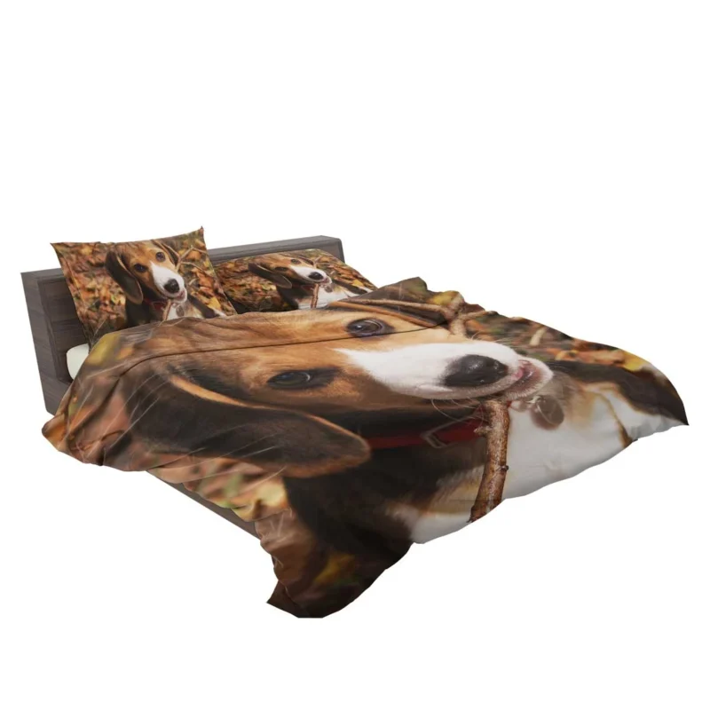 Beagle Breed and Its Charm: Beagle Bedding Set 2