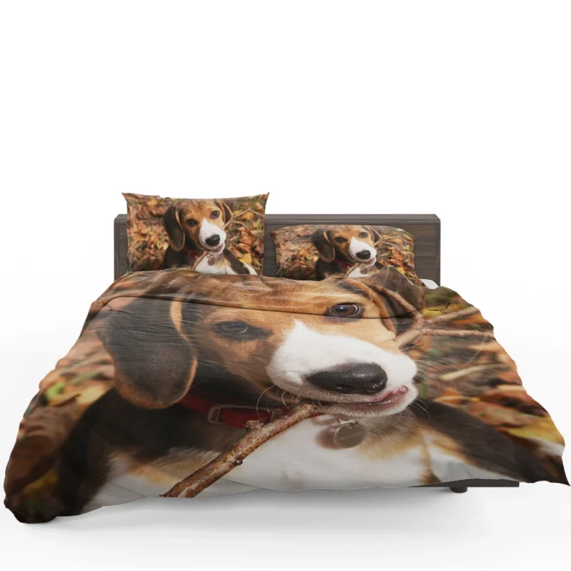 Beagle Breed and Its Charm: Beagle Bedding Set