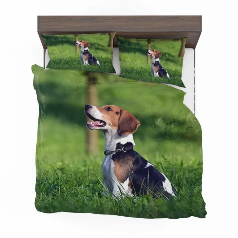 Beagle Breed and Its Endearing Traits: Beagle Bedding Set 1