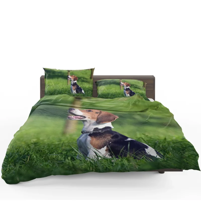 Beagle Breed and Its Endearing Traits: Beagle Bedding Set