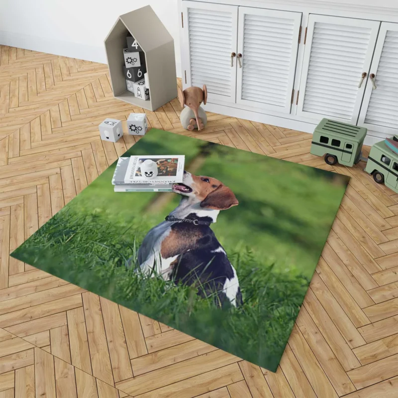 Beagle Breed and Its Endearing Traits: Beagle Floor Rug 1