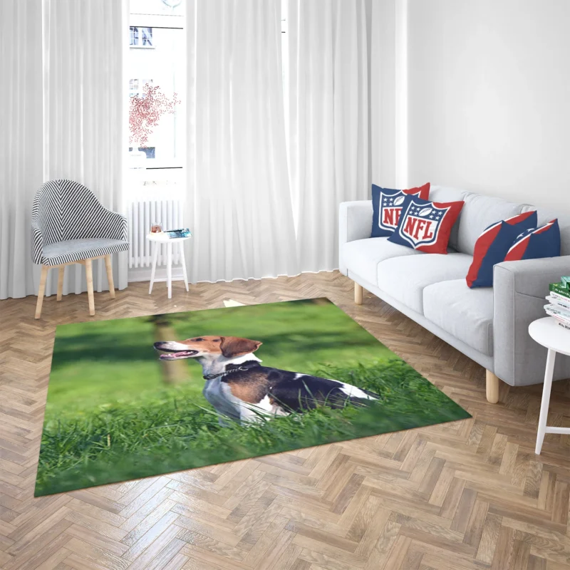 Beagle Breed and Its Endearing Traits: Beagle Floor Rug 2