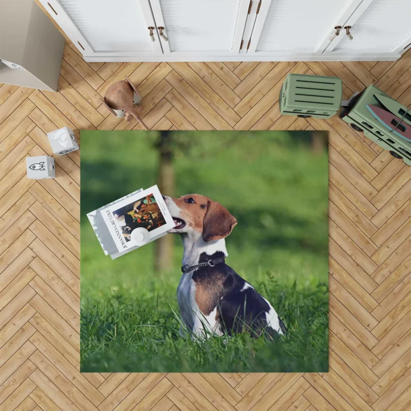 Beagle Breed and Its Endearing Traits: Beagle Floor Rug