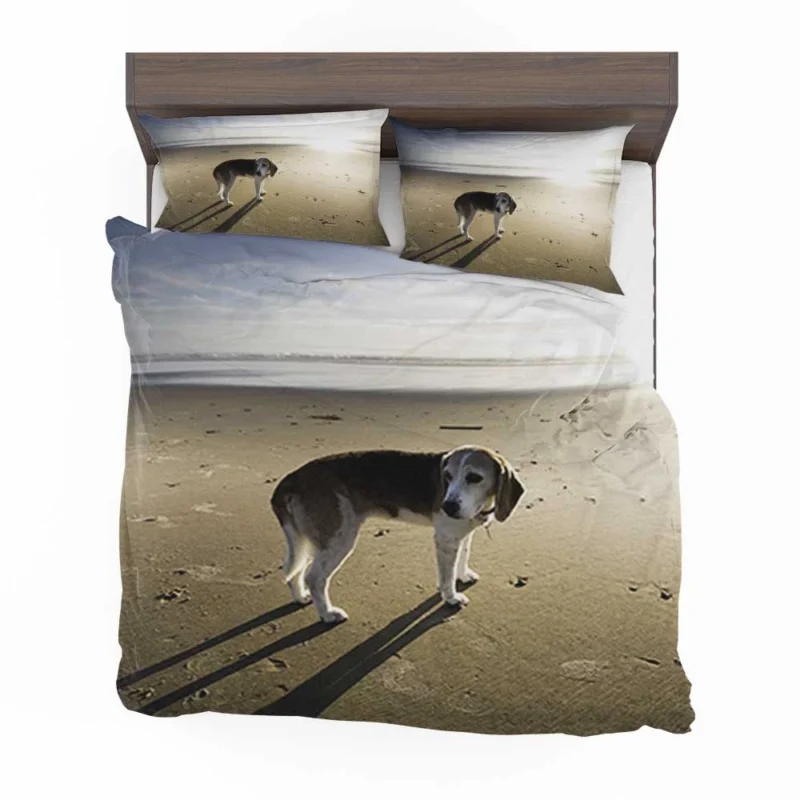 Beagle Curiosity and Charm: Beagle Bedding Set 1