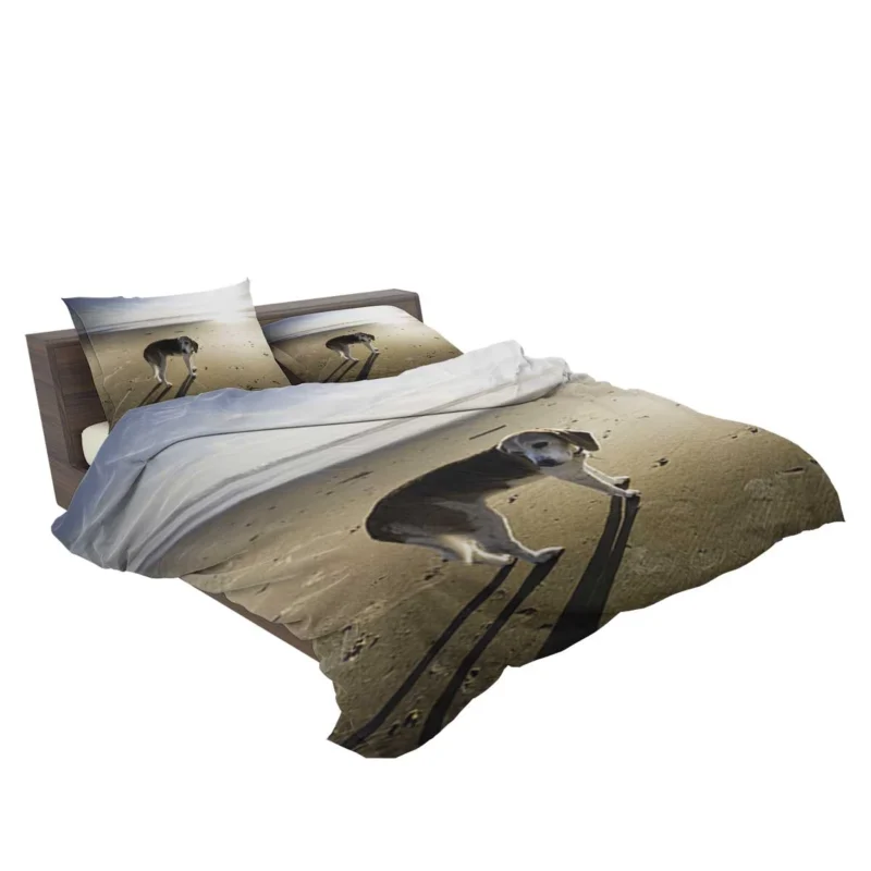 Beagle Curiosity and Charm: Beagle Bedding Set 2