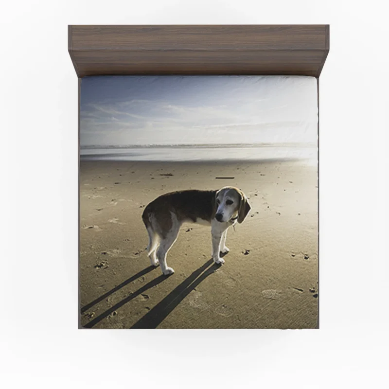 Beagle Curiosity and Charm: Beagle Fitted Sheet