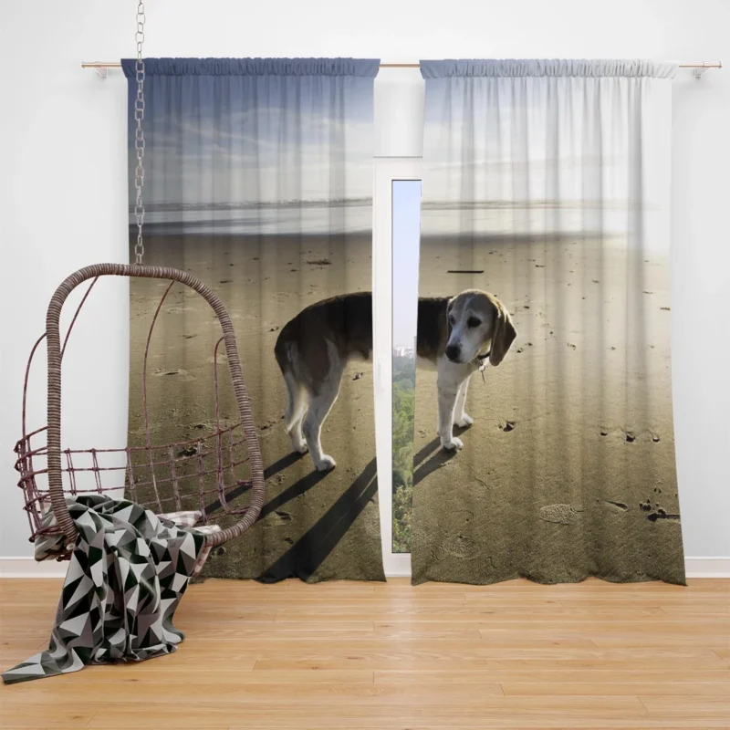 Beagle Curiosity and Charm: Beagle Window Curtain