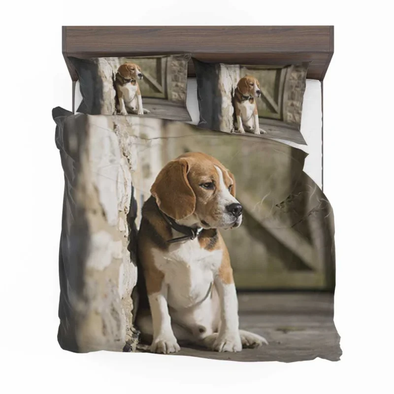 Beagle Eager and Friendly Nature: Beagle Bedding Set 1