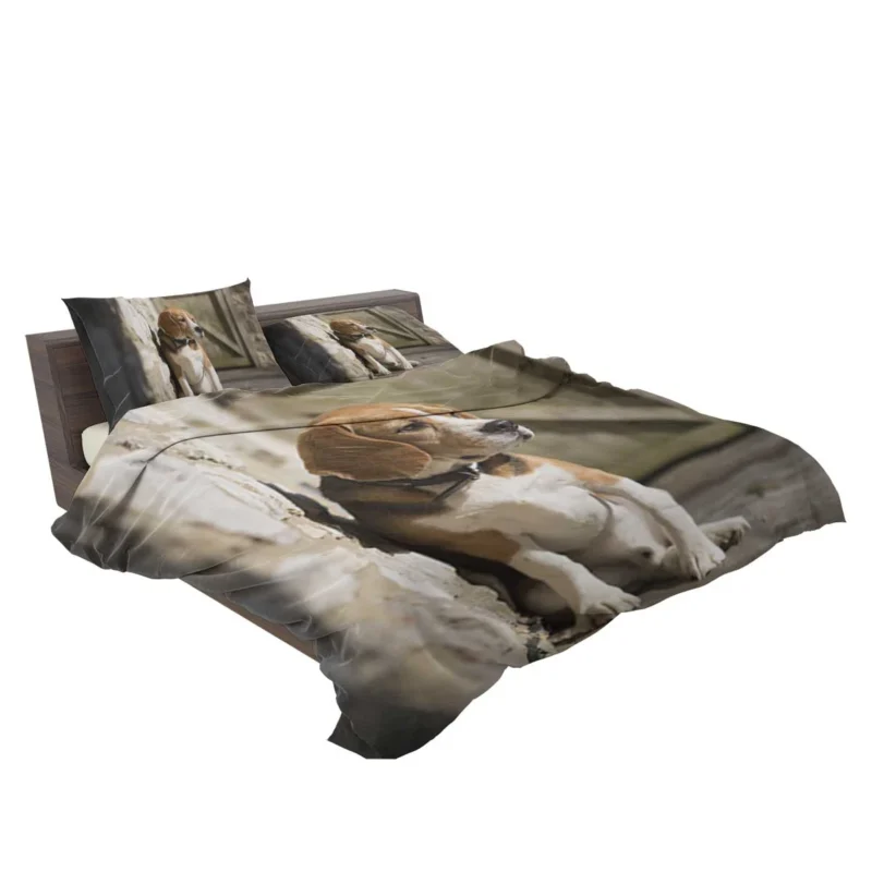 Beagle Eager and Friendly Nature: Beagle Bedding Set 2