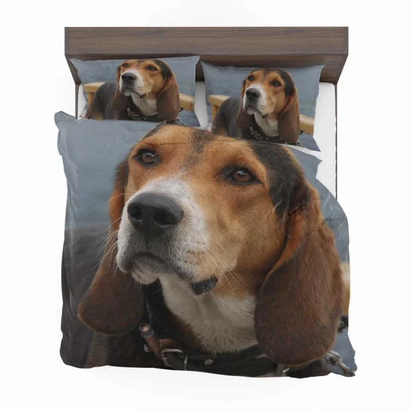 Beagle Friendly and Playful Character: Beagle Bedding Set 1