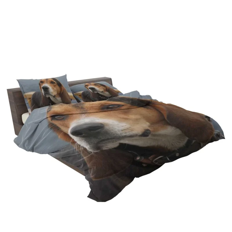 Beagle Friendly and Playful Character: Beagle Bedding Set 2