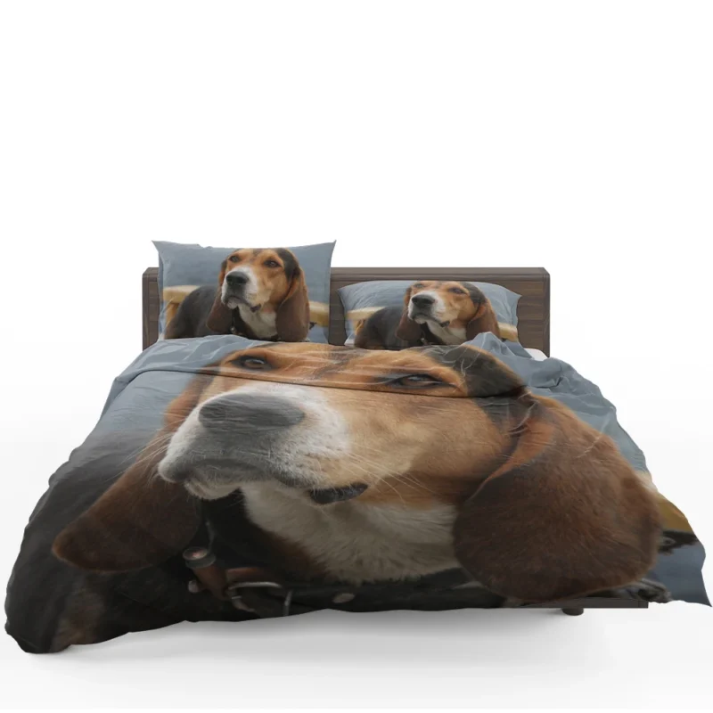 Beagle Friendly and Playful Character: Beagle Bedding Set