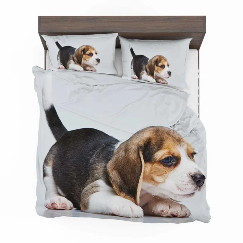 Beagle Playful and Energetic Spirit: Beagle Bedding Set 1