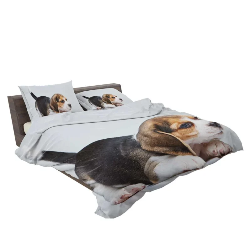 Beagle Playful and Energetic Spirit: Beagle Bedding Set 2