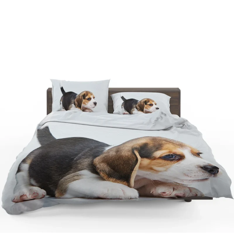 Beagle Playful and Energetic Spirit: Beagle Bedding Set