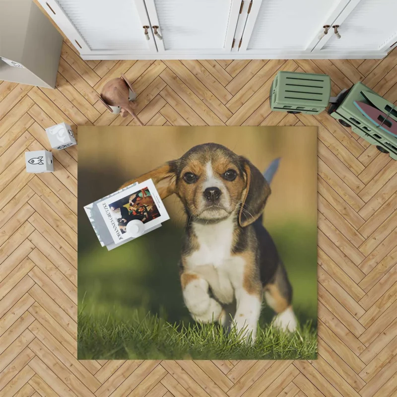 Beagle Puppy Cuteness: Beagle Floor Rug