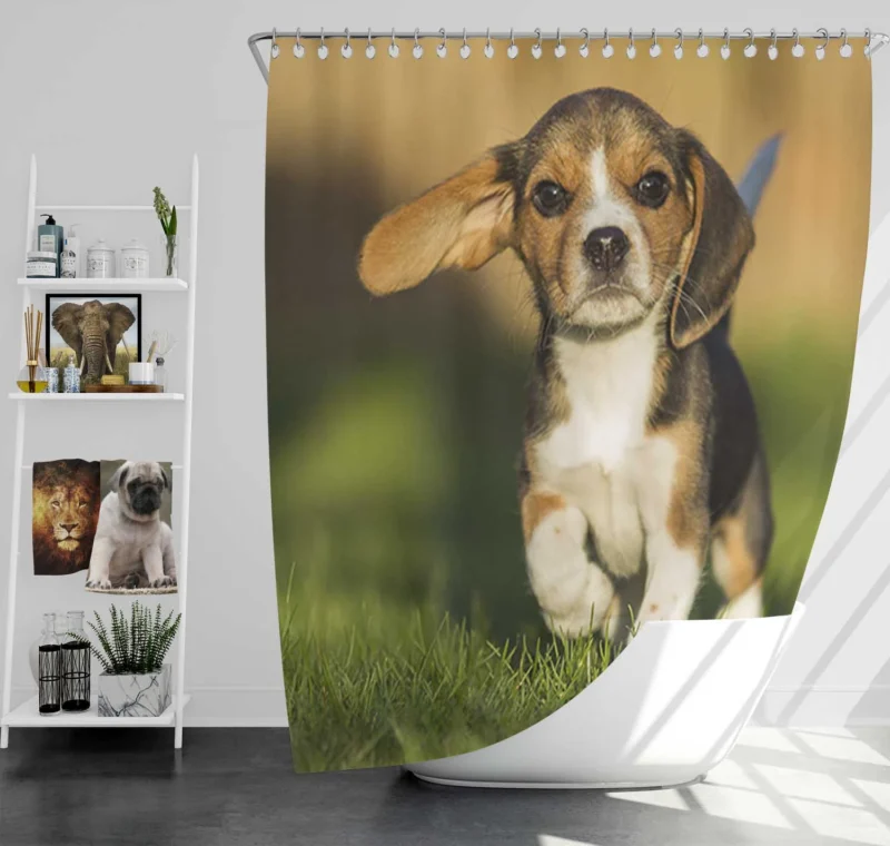 Beagle Puppy Cuteness: Beagle Shower Curtain