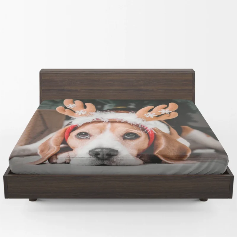 Beagle Wearing Reindeer Antlers: Beagle Fitted Sheet 1