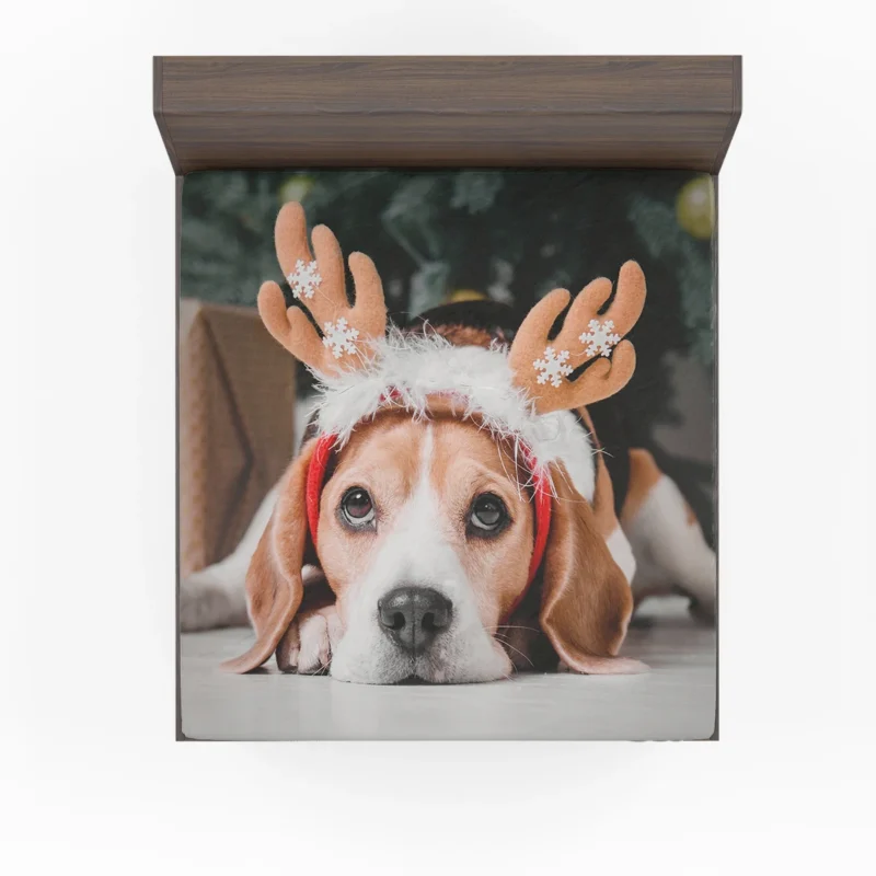 Beagle Wearing Reindeer Antlers: Beagle Fitted Sheet