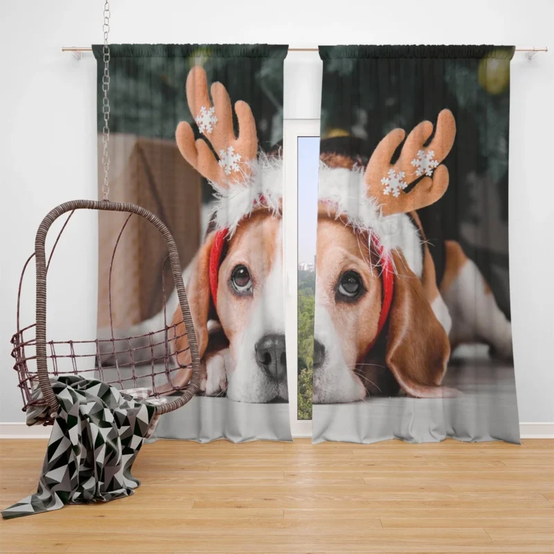 Beagle Wearing Reindeer Antlers: Beagle Window Curtain