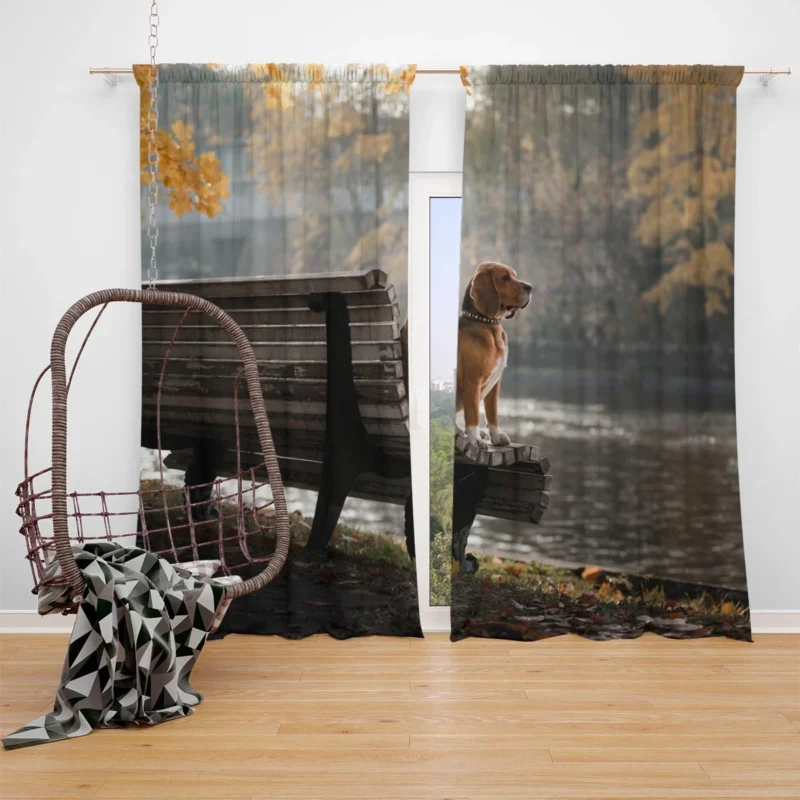 Beagle and Bench Moments: Beagle Window Curtain