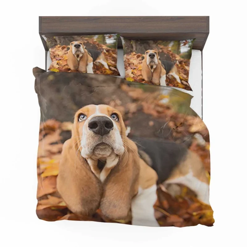 Beagle in Autumn with Muzzle: Beagle Bedding Set 1