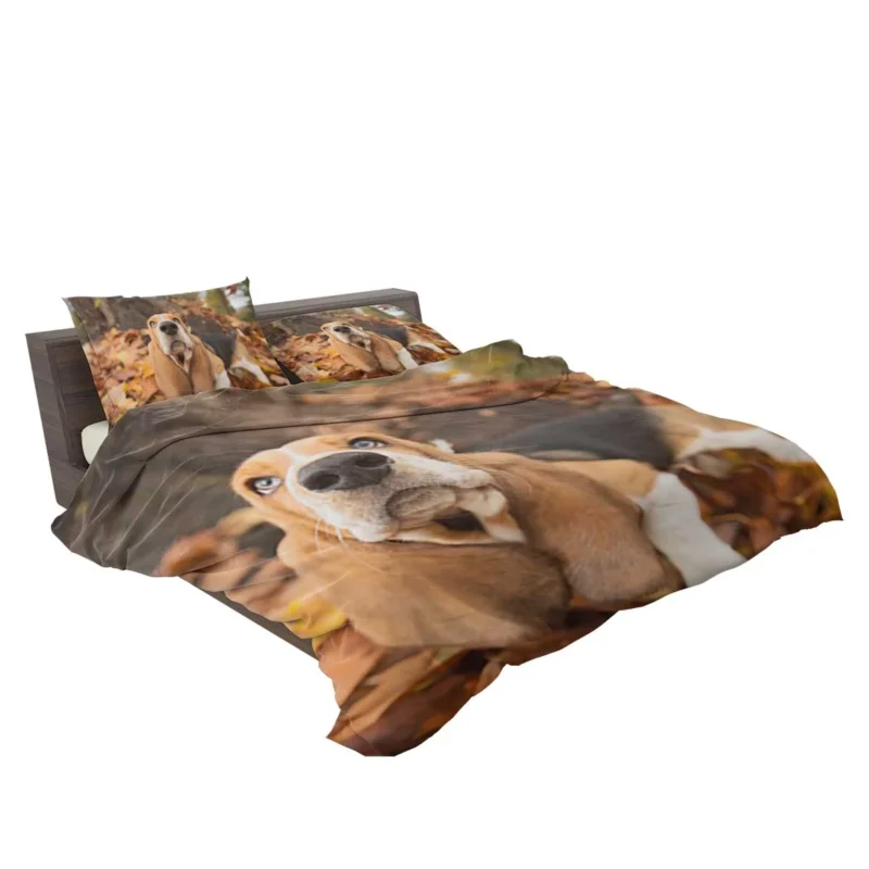 Beagle in Autumn with Muzzle: Beagle Bedding Set 2