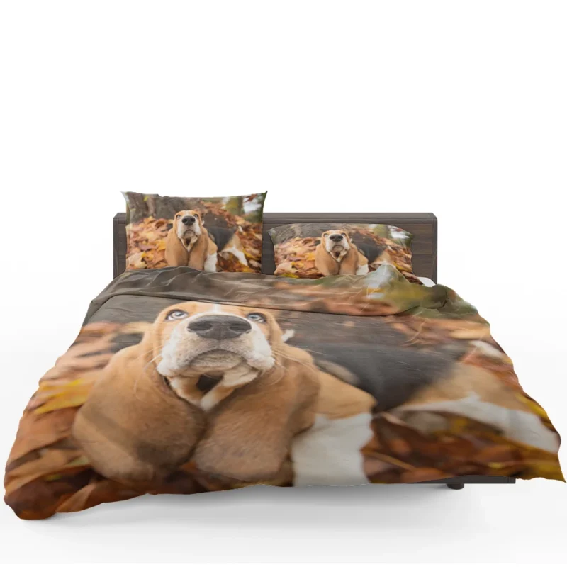 Beagle in Autumn with Muzzle: Beagle Bedding Set