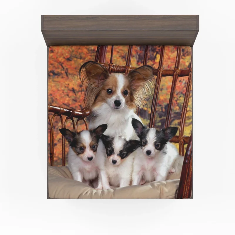 Beautiful Papillon Portraits: Papillon Quartet Fitted Sheet