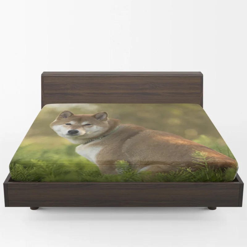 Beauty in Symmetry: Shiba Inu Quartet Fitted Sheet 1