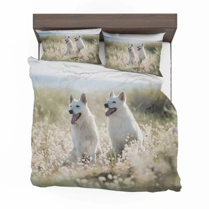 Berger Blanc Suisse Elegance in Depth Of Field Bedding Set 1