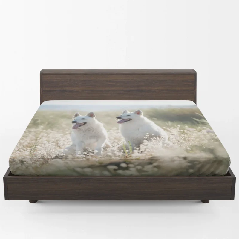 Berger Blanc Suisse Elegance in Depth Of Field Fitted Sheet 1