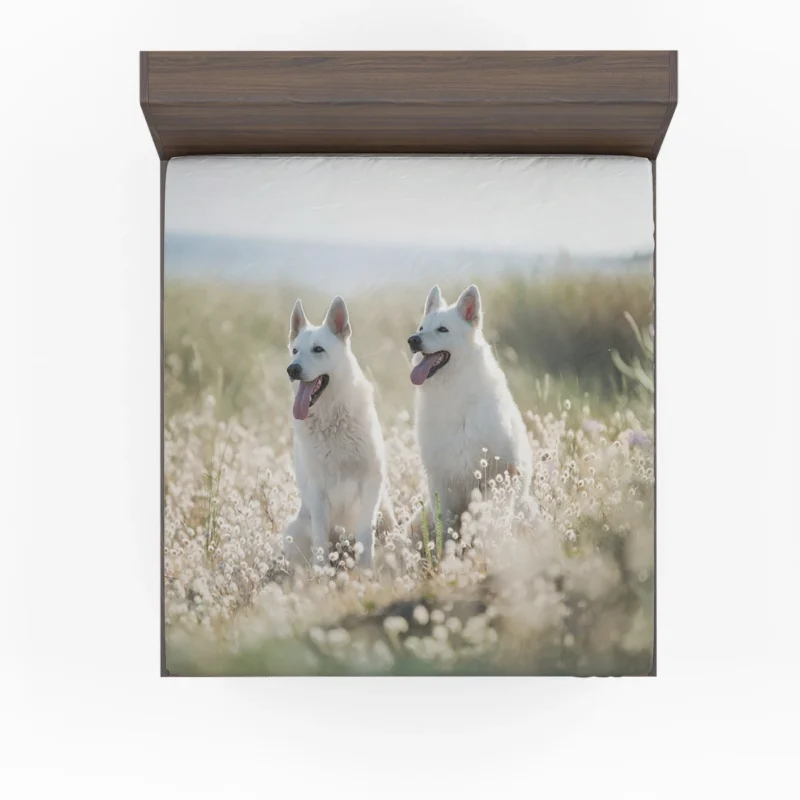 Berger Blanc Suisse Elegance in Depth Of Field Fitted Sheet