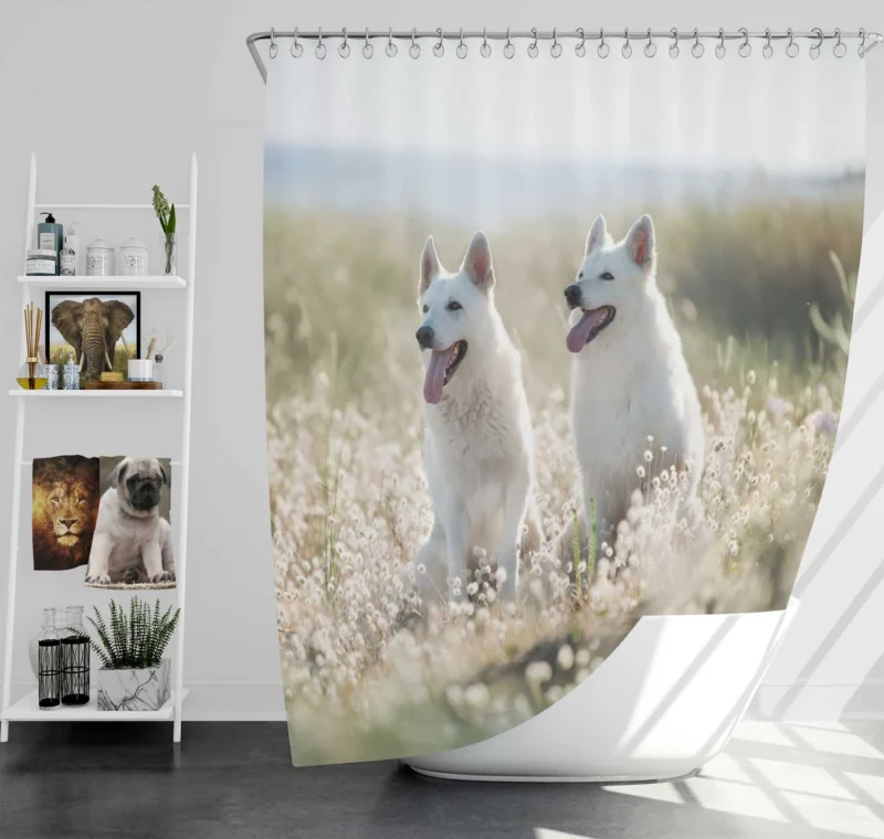 Berger Blanc Suisse Elegance in Depth Of Field Shower Curtain