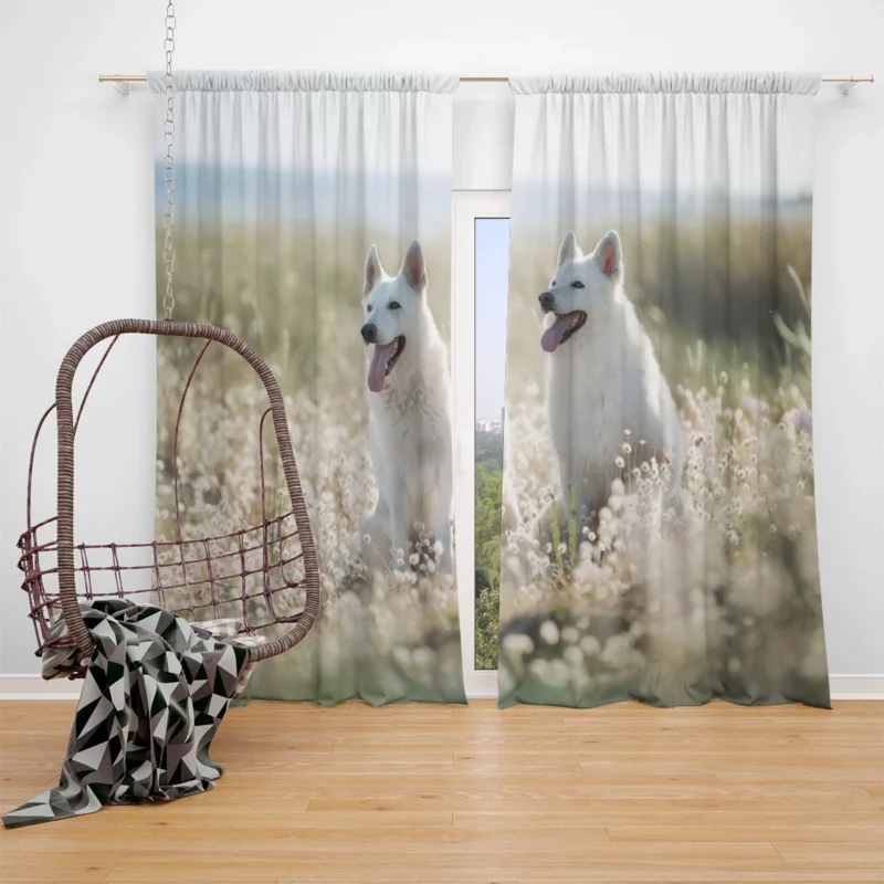 Berger Blanc Suisse Elegance in Depth Of Field Window Curtain