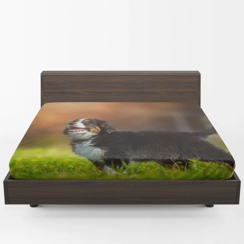 Bernese Ba Pups in Beauty: Bernese Mountain Dog Fitted Sheet 1