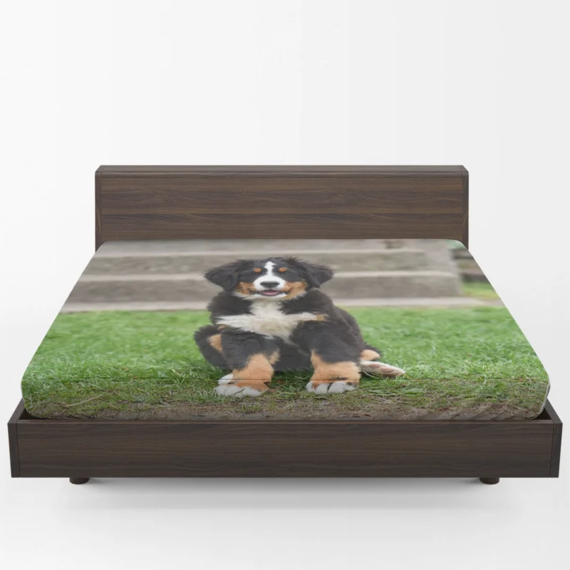 Bernese Beauty by the River: Black & White Bernese Mountain Dog Fitted Sheet 1