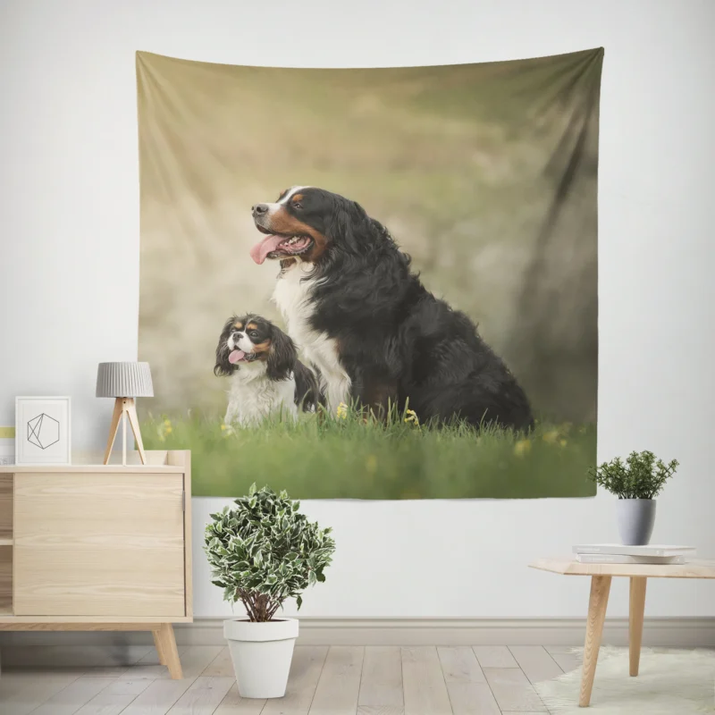 Bernese Charm with Ba