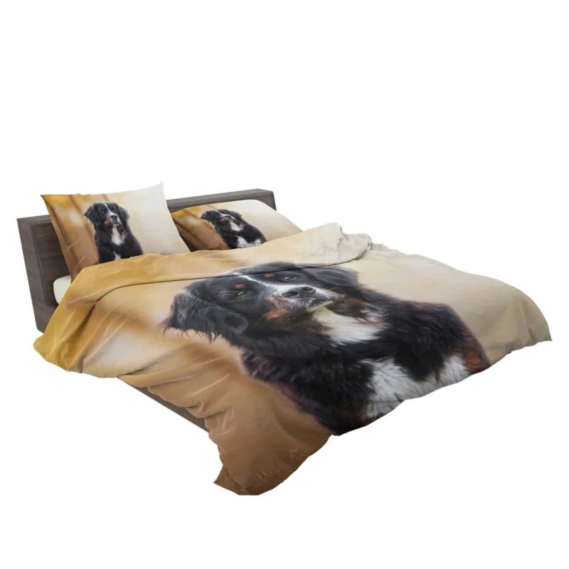 Bernese Majesty: Bernese Mountain Dog Bedding Set 2