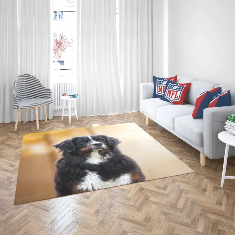 Bernese Majesty: Bernese Mountain Dog Floor Rug 2